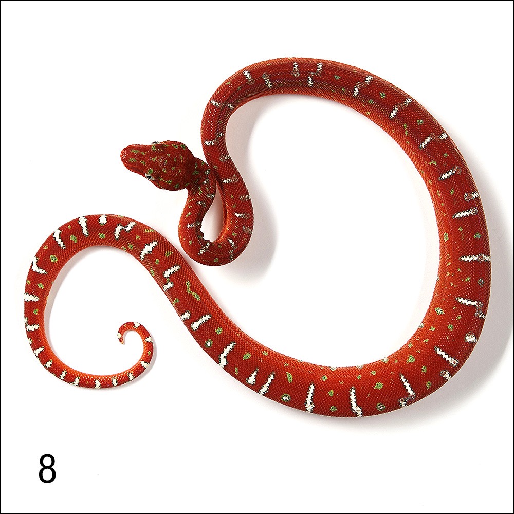 Stacks Image 139