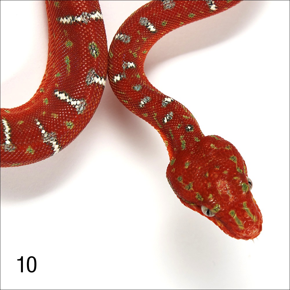 Stacks Image 127