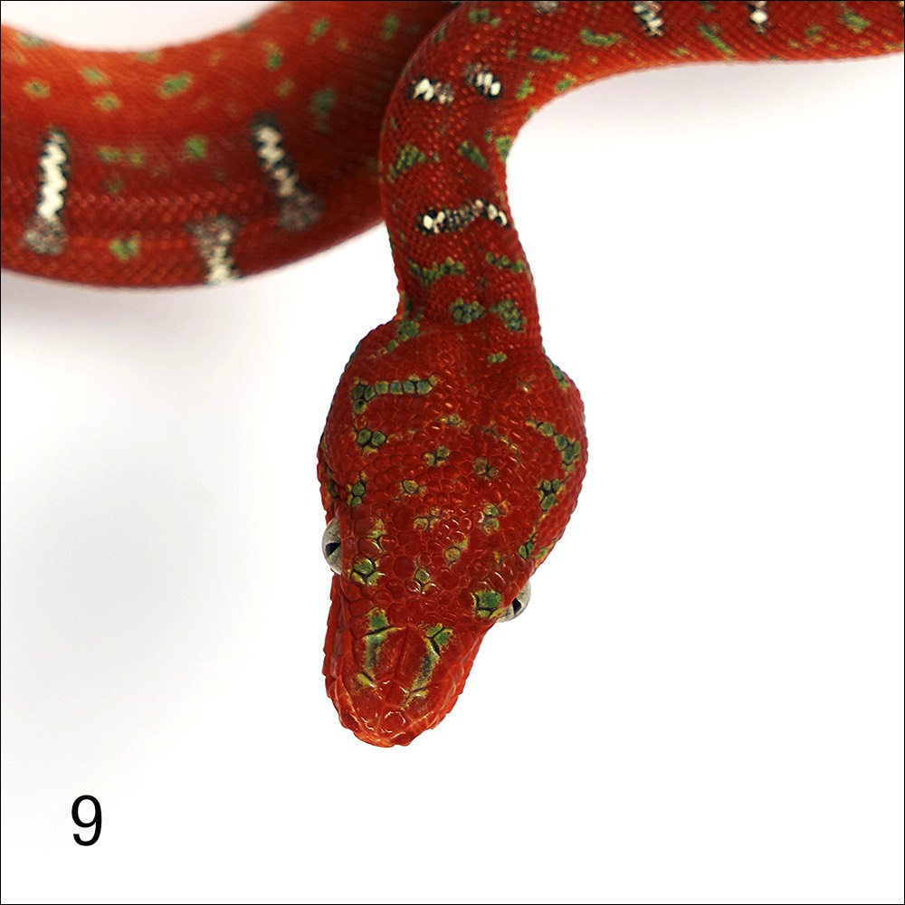 Stacks Image 131